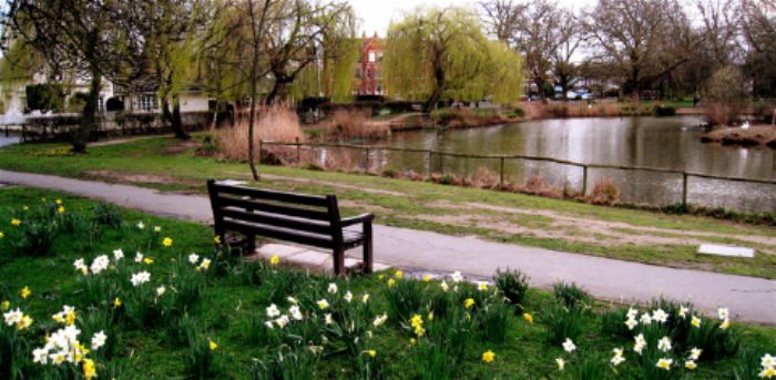 Barnes pond in Spring