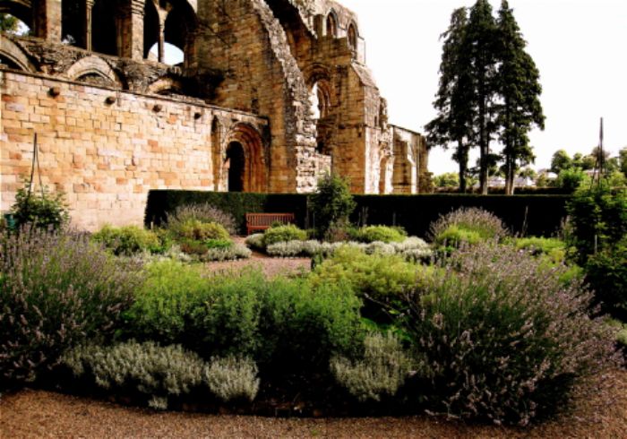 Herb garden at Jedburgh abbey...