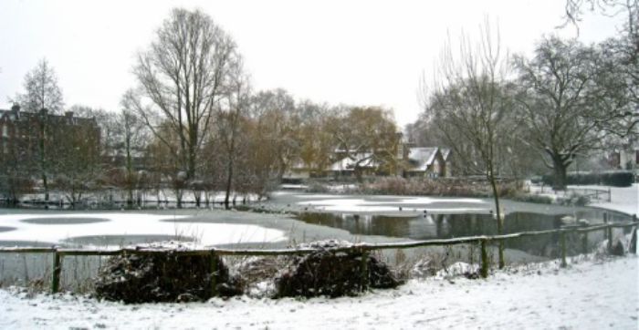 Ice patterns on Barnes Pond 20/01/13