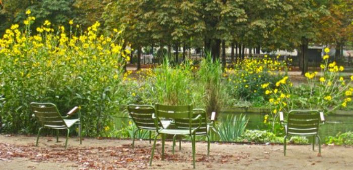 Les Tuileries - symphony in yellow and green