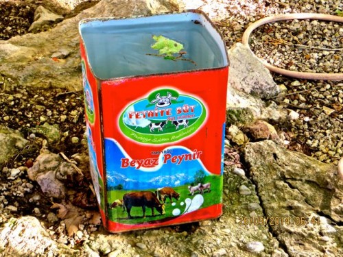 Pinara - a can full of fresh water