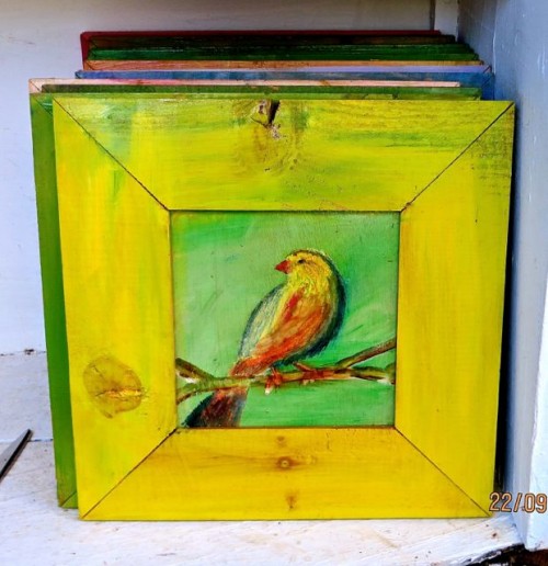 Kas - colourful bird paintings