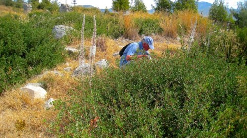 Xanthos - exploring the natural flora and fauna ...