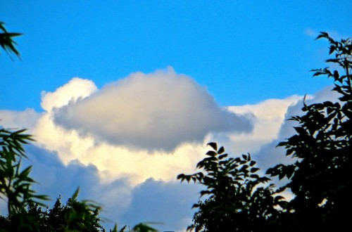 ...or is it a rather monstrous fat mouse fast asleep on a cloud?