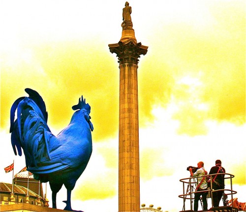 French coq crows in Trafalgar Square ...