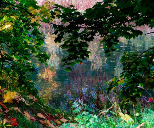 Reservoir colours.  Monet- esque