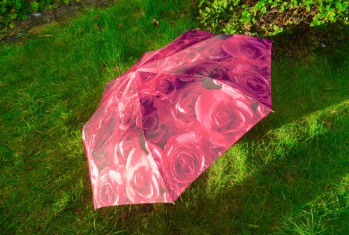 My umbrella - still in one piece ... !