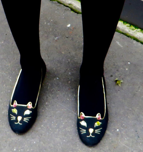 Les chats sauvages rôdent le Boulevard St. Germain ... 